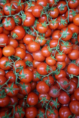 full frame tomato stock photo