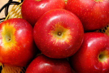 New Zealand apple on white background