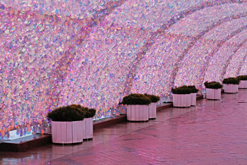 Сoniferous plants in pots stand in a tunnel of pearl sequins