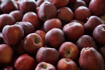 full frame apple