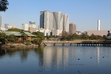 Fototapeta na wymiar Nakajima No Ochaya at Hamarikyu Gardens with down town Tokyo in the back ground. 
