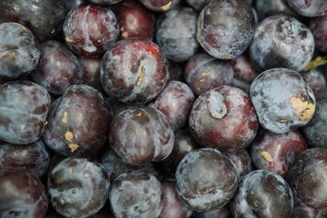 Fresh plums background stock photo