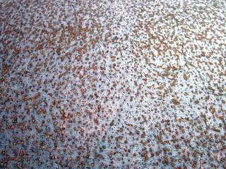 rusty metal plate texture