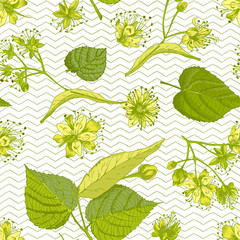 Linden blossom hand drawn seamless pattern with flower, lives and branch in yellow and green colors on white background. Retro vintage graphic design Botanical sketch drawing