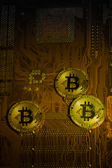 Golden silver crypto currency coin on motherboard. Shiny closeup crypto-currency coin background. Electronic money, cryptocurrency.