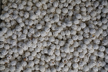 white roasted chickpeas in turkish culture