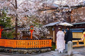 桜２４