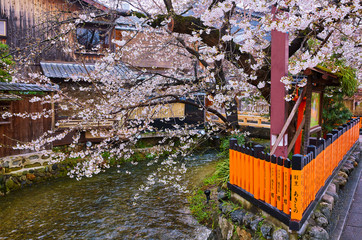 桜２３