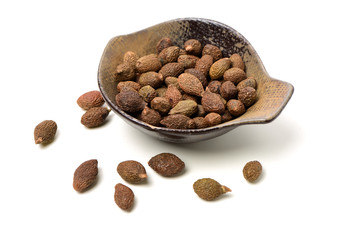 Sterculia lychnophora on white background