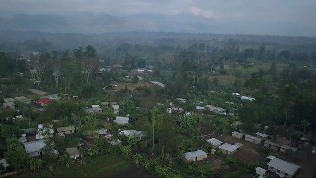 Aerial view tilting down shot, scenic view of the village and palm trees.