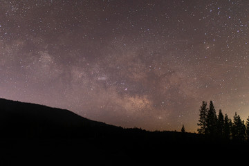 Milky Way with the shadow of trees