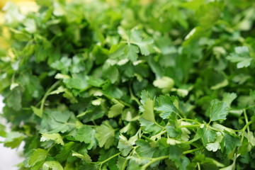 full frame lettuce stock photo