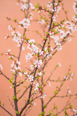 오렌지색바탕에 그림같은 꽃