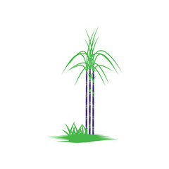Naklejka premium Sugar cane Logo Template vector symbol