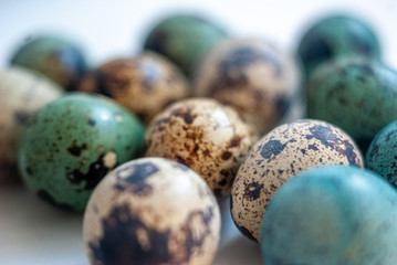 Easter groop of close ap quail eggs in natural color and painted in blue and beige. Traditional Easter background with painted eggs.