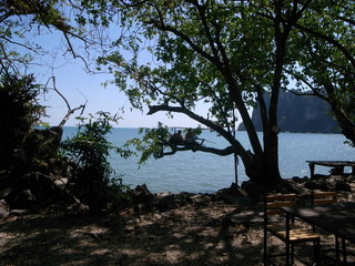 Exif_JPEG_PICTURE