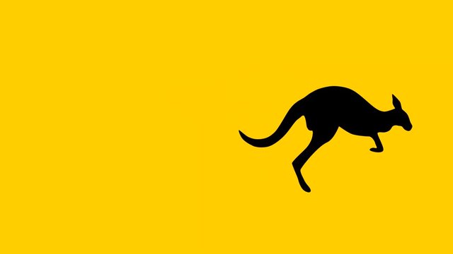 Jumping kangaroo, animation on the yellow background