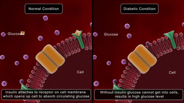 Biomedical Animation Showing Glucose Absorption In Cell.