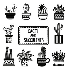 Vector drawings of cacti. Various linear cacti and succulents in flower pots and cups. Black-white vector illustration.