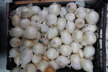 full frame onion on the market