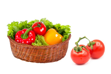 Ripe fresh organic vegetables in a basket and tomatoes on a branch in drops of dew isolated on a white background