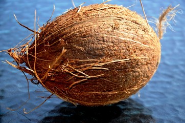 whole ripe brown coconut on blue background