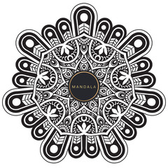 Mandala, tracery round boho doodle. Ethnic ornament, sketched symmetry. Folk, meditation design. Curved shape, isolated on white. Black and white art. Vector