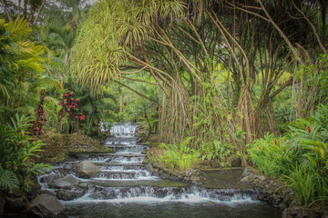 Sources d'eau chaude d'Arenal au Costa Rica