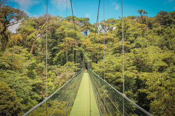 Fototapeta na wymiar pont suspendu dans la Forêt humide nuageuse de monteverde au Costa Rica