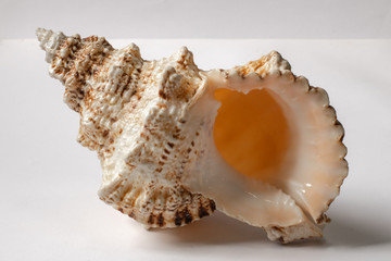 chess, queen, board, chessboard, field, sport, figure, cell, game, board game, food, fruit, masks, isolation, quarantine, crisis, buckwheat, rice, oatmeal, dried fruits, toilet paper, napkins, rings, 