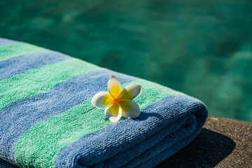 Blue towel and franjipani flower near swimming pool