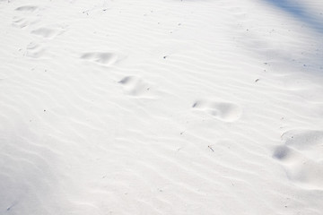 sand on the beach for abstract background, summer concept
