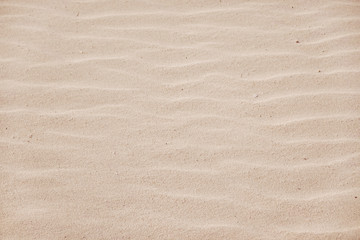 sand on the beach for abstract background, summer concept