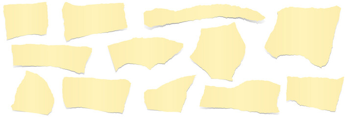 collection scrap of paper