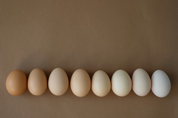 Six organic chicken eggs with shells in different shades of brown and white laying in a row .The...