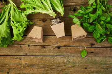 Flat lay of Gardening tools, basil, greens eco flowerpot, soil on wooden background.