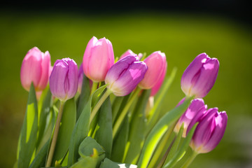 a bouquet of tulips on a garden table