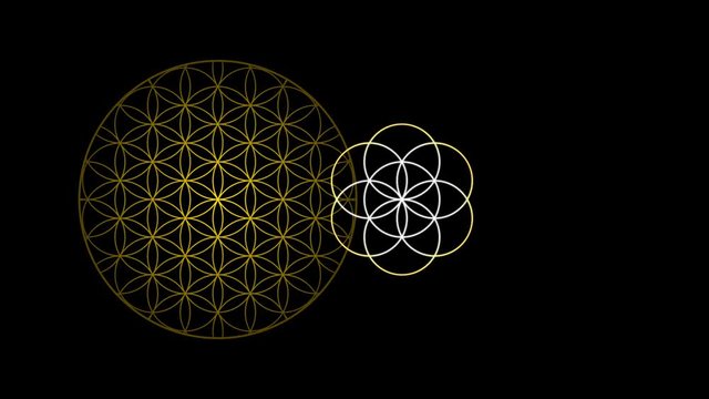 The Flower of Life Forming The Seed of Life and the Egg of Life
