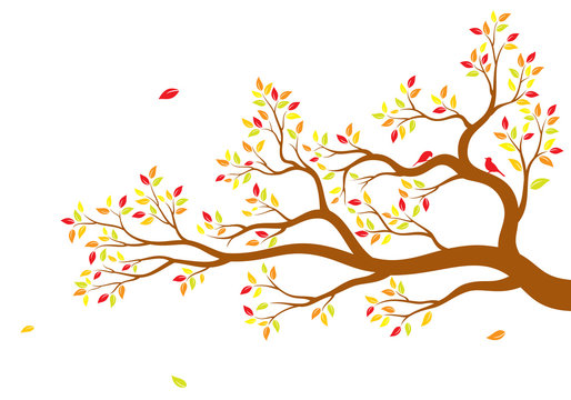 Vector illustration of isolated, realistic tree branch with colorful leaves and two birds on white background. Wall sticker.