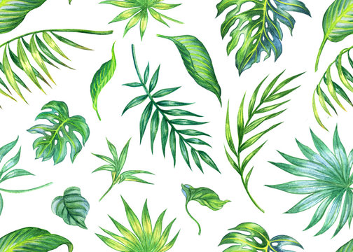 Tropical leaves seamless pattern on a white background, watercolor drawing, floral print for fabric and various designs.