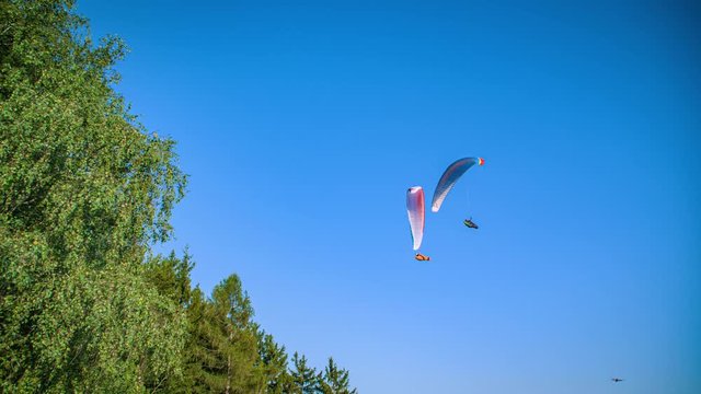 Low angle view of a pair of paragliders flying above the forest in the distance on a clear blue sky.