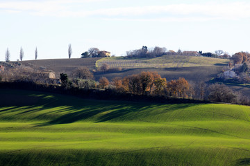 Fototapeta na wymiar Corinaldo (AN), Italy - January 1, 2019: The landscape near Corinaldo village, Corinaldo, Ancona, Marche, Italy