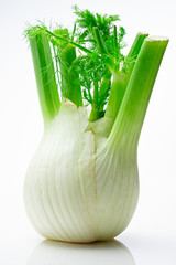 fenchel