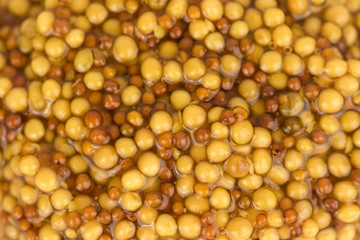 Natural french dijon mustard with seeds 
