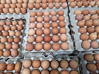 Fresh eggs in a paper tray are stacked together