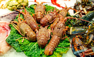 Fresh crayfish and spiny lobsters on the morning fish market lie on fresh lettuce leaves. Nice,...