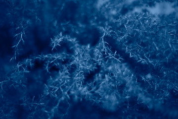 Abstract classic blue background.