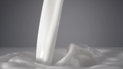 Slow motion of pouring milk stream, macro shot. 