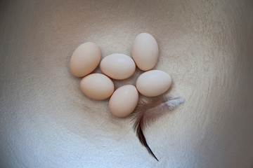 Minimal Easter - Six Eggs with Feather