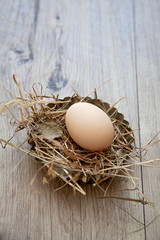 Easter Background - Egg in Nest - Vintage